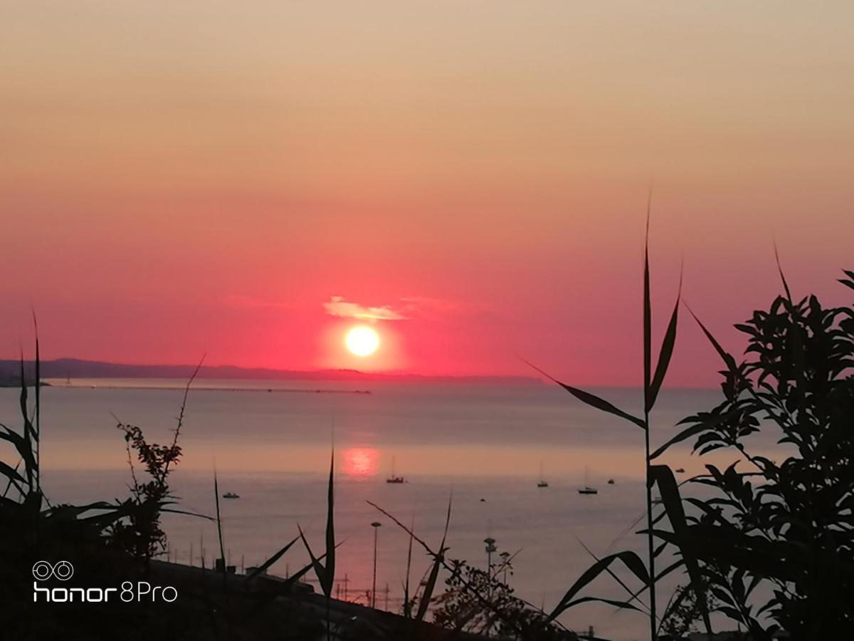 Casa Viorica 2 Otel Ancona Dış mekan fotoğraf