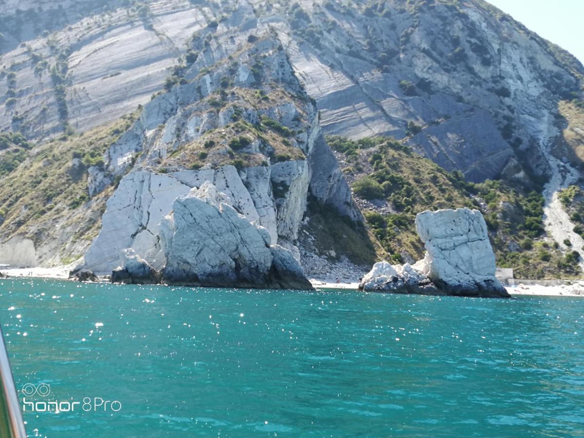 Casa Viorica 2 Otel Ancona Dış mekan fotoğraf