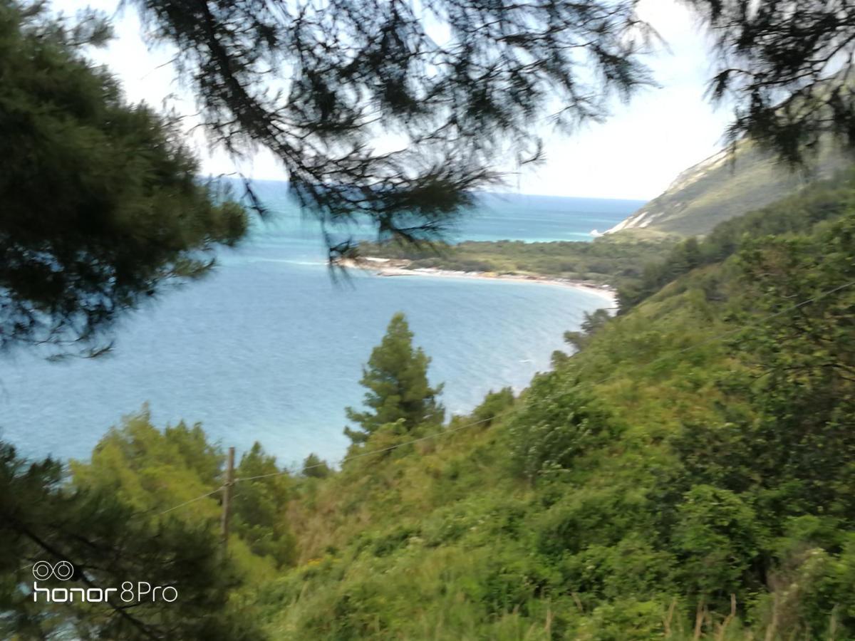 Casa Viorica 2 Otel Ancona Dış mekan fotoğraf