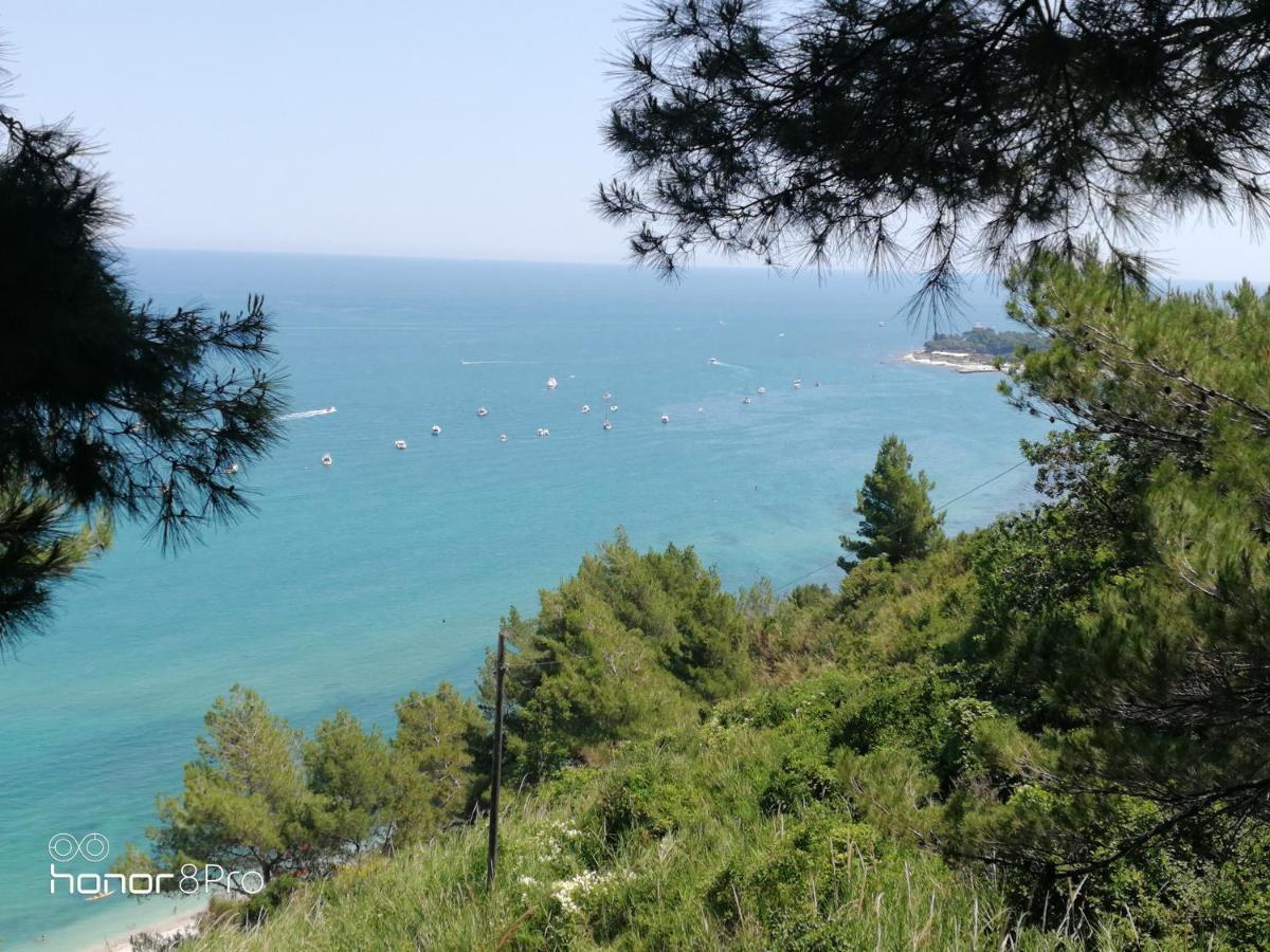 Casa Viorica 2 Otel Ancona Dış mekan fotoğraf