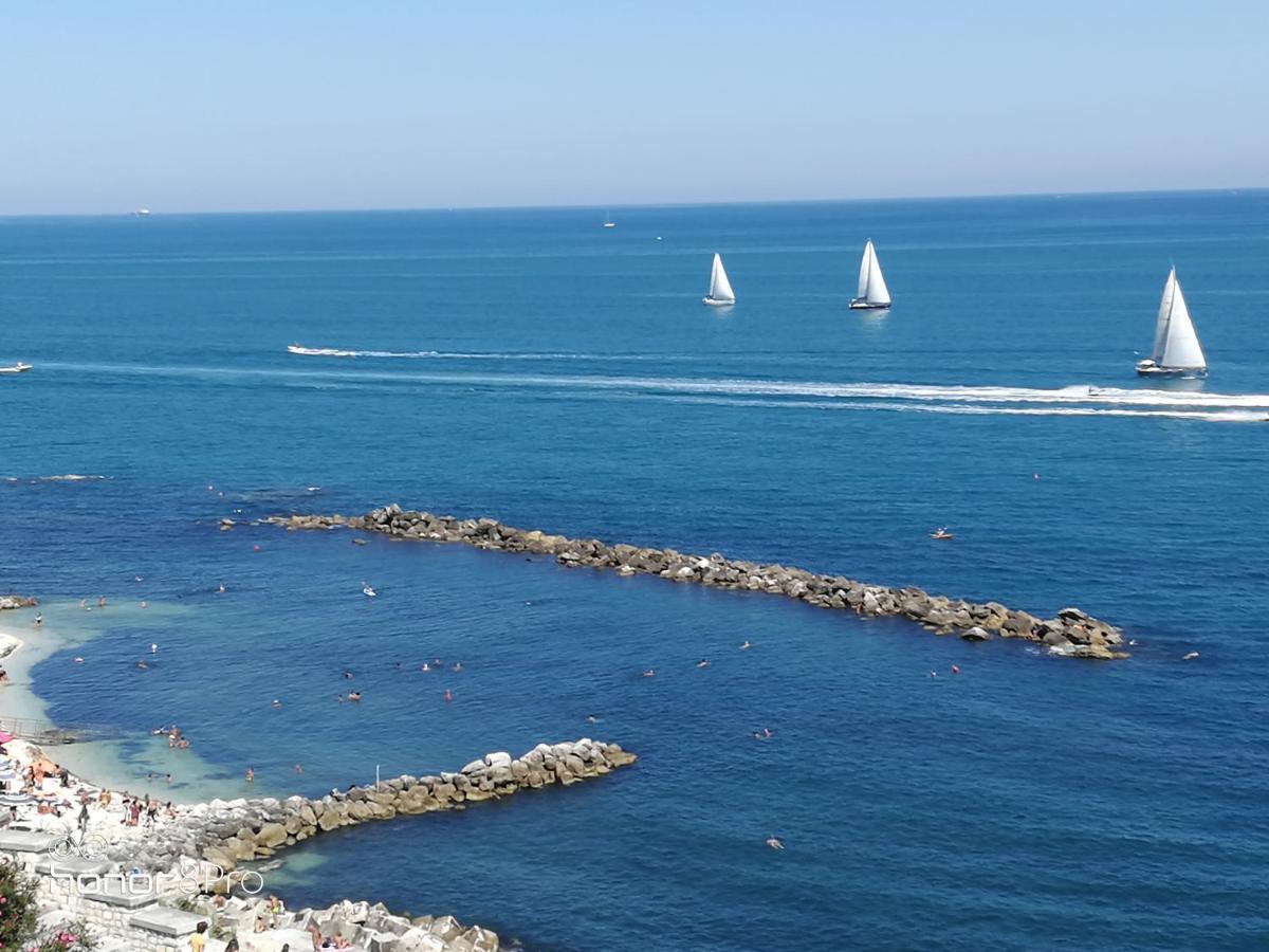 Casa Viorica 2 Otel Ancona Dış mekan fotoğraf