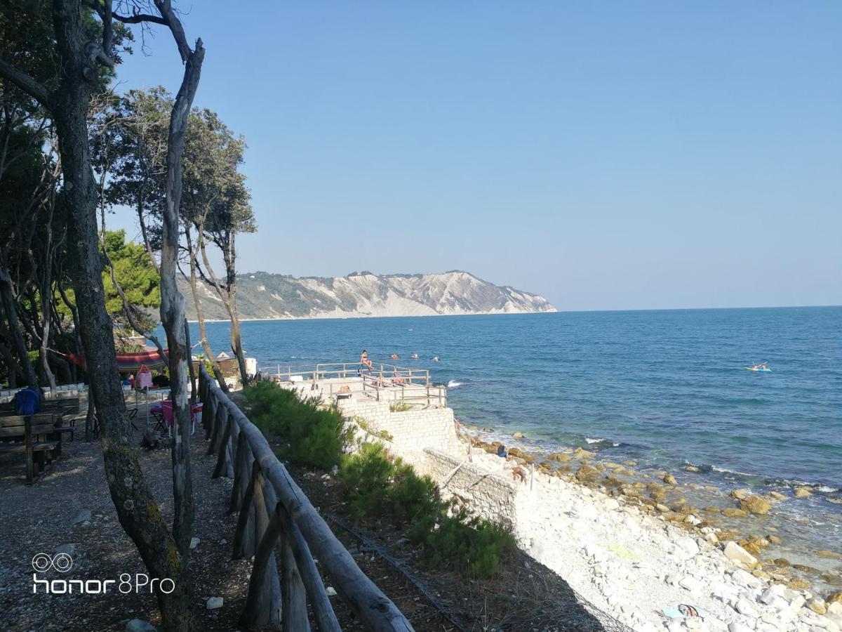 Casa Viorica 2 Otel Ancona Dış mekan fotoğraf